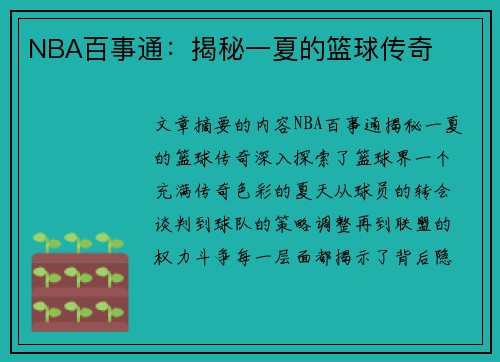 NBA百事通：揭秘一夏的篮球传奇